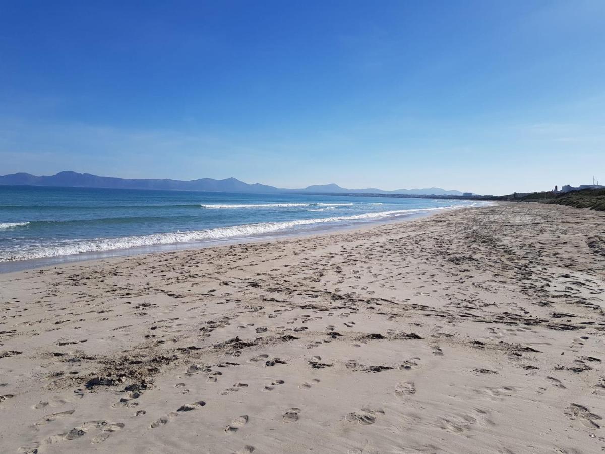 Ideal Property Mallorca - Nenufars Alcúdia Kültér fotó